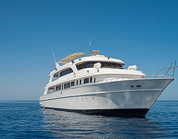 Superyachts 560